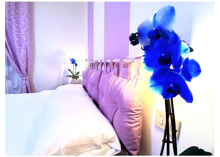 酒店 Le Giare 马里纳-迪-皮特拉桑塔